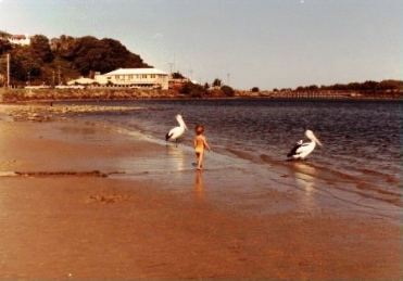 Jack Evans Boat Harbour | Photo supplied by Judy Connolly